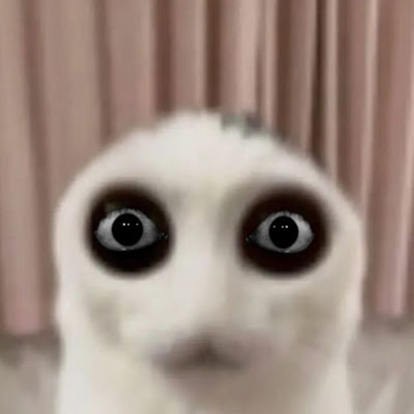 Meet your Posher, Rebecca - Picture 1 of 1